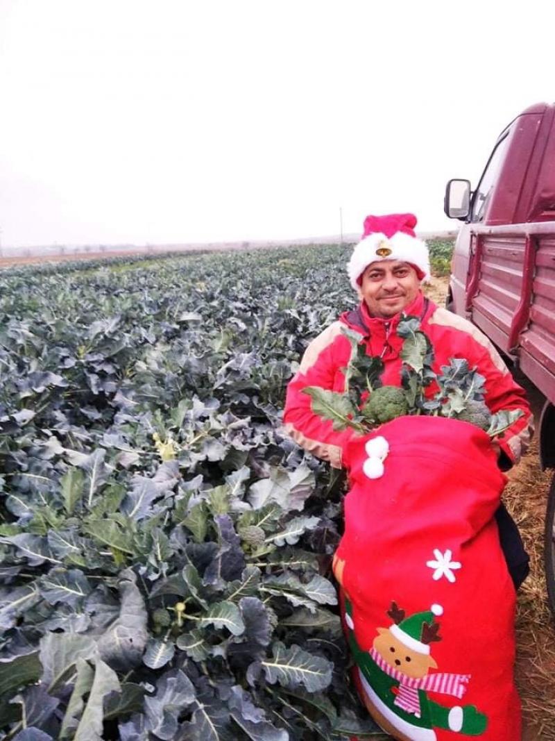 Κιλκίς: Αγρότης καλλιεργεί τα λαχανικά του με χριστουγεννιάτικο κλίμα
