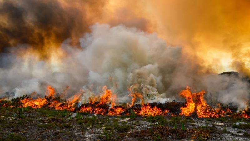 Απαγόρευση κυκλοφορίας σε δάση, πάρκα και άλση της Μεσσηνίας την Παρασκευή