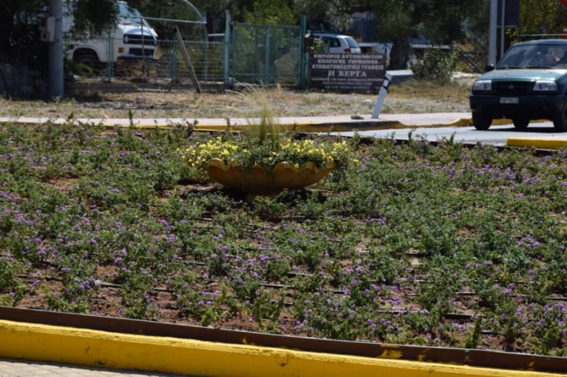 Περισσότερα από 1.300 φυτά σε κόμβους της Καλαμάτας