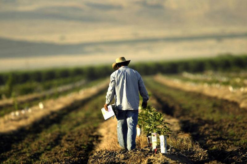 Νέα ΚΑΠ: Τροποποίηση των αποφάσεων για ecoschemes, βιολογική γεωργία &amp; κτηνοτροφία