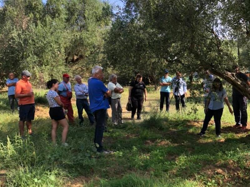 &quot;Βήματα&quot; για ψηφιακό μετασχηματισμό στην φυτοπροστασία στη Μεσσηνία