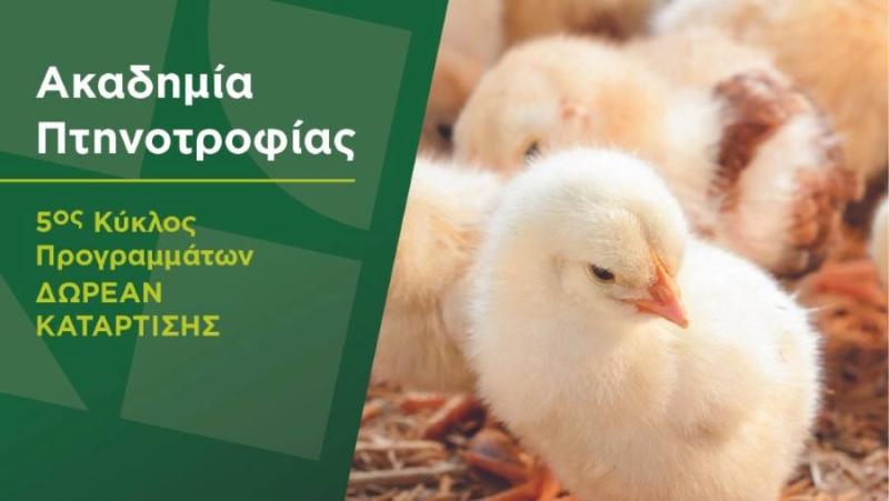 Νέα Γεωργία Νέα Γενιά: Από την περιοχή της Χαλκίδας ξεκινάει η Ακαδημία Πτηνοτροφίας