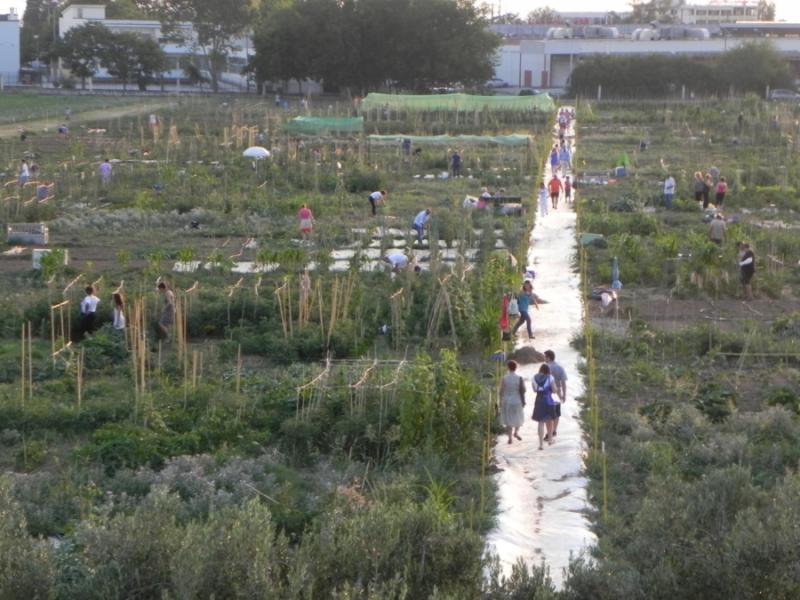 Οχτώ χιλιάδες Θεσσαλονικείς δημιούργησαν δικό τους βιολογικό λαχανόκηπο στο Αγρόκτημα του ΑΠΘ
