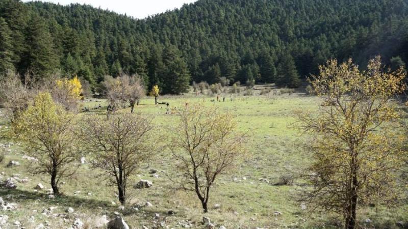 ΕΟΣ Καλαμάτας: Πεζοπορία στο Καλάθι