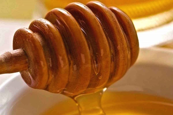 Η νοθεία του μελιού στους άξονες της εθνικής στρατηγικής για τη μελισσοκομία