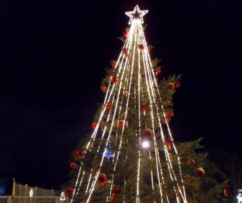 Φωταγώγηση χριστουγεννιάτικου δέντρου στο ΒΙΟΠΑ Καλαμάτας