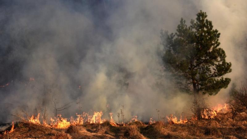 Απαγόρευση κυκλοφορίας σε δάση, πάρκα και άλση της Μεσσηνίας το Σάββατο