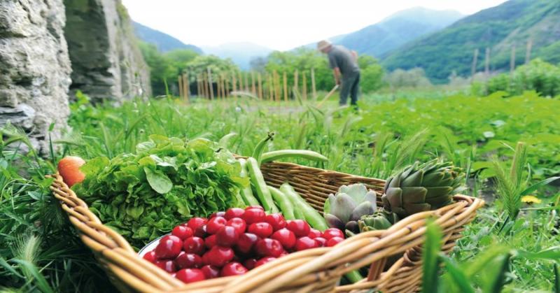 Κάλεσμα για αύξηση των πιστώσεων βιολογικής καλλιέργειας στην Ανατολική Μακεδονία και τη Θράκη