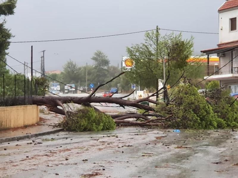Ηράκλειο: Πλημμυρισμένα σπίτια και επιχειρήσεις διάσωσης