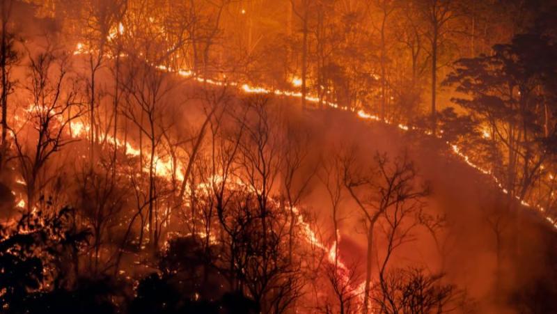 Υψηλός κίνδυνος πυρκαγιάς την Δευτέρα στη Μεσσηνία