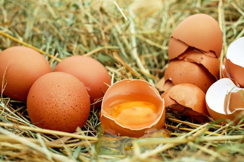 Μ. Βορίδης: Άμεσες οι κινήσεις μας για βγει η παραγωγή αυγού από την κρίση