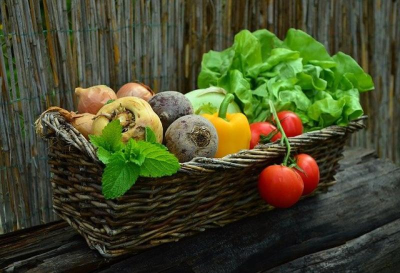 Πρόσκληση υποβολής αιτήσεων στήριξης για συμμετοχή στη «Βιολογική Γεωργία» συνολικής δαπάνης 490 εκατ. ευρώ