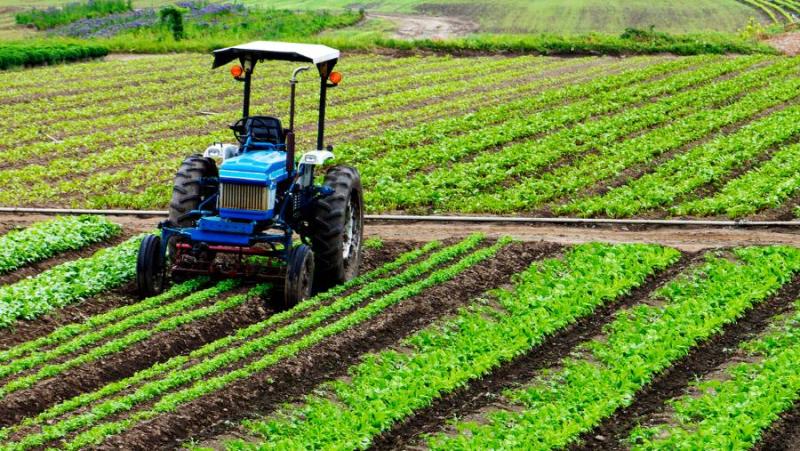 ΕΛΓΑ: Πληρωμή 55 εκατ. €, για ζημίες φυτικής παραγωγής και απώλειες ζωικού κεφαλαίου του 2024