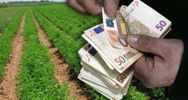 Πληρωμές 4,9 εκατ. ευρώ για μεταποίηση αγροτικών προϊόντων