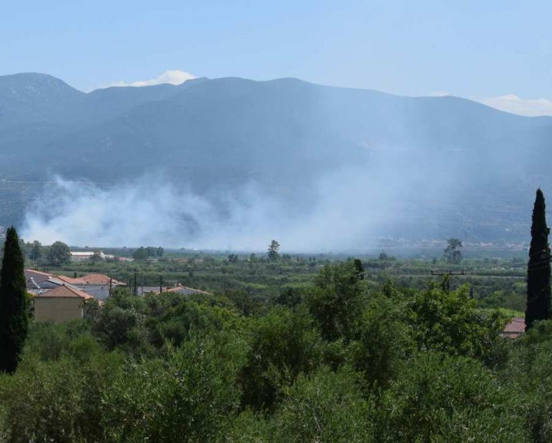 Έκταση 35 στρεμμάτων έκαψε η φωτιά στην Αιθαία