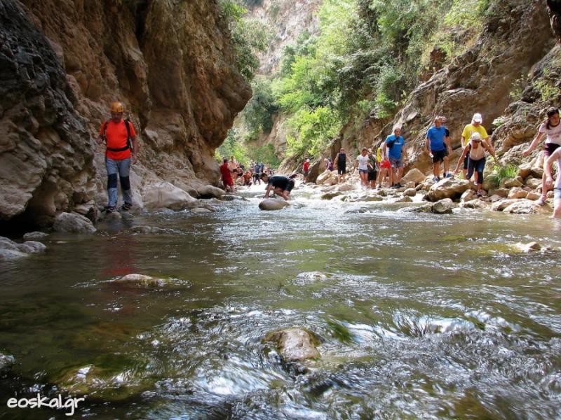 Εξόρμηση στη Νέδα με τον Ορειβατικό