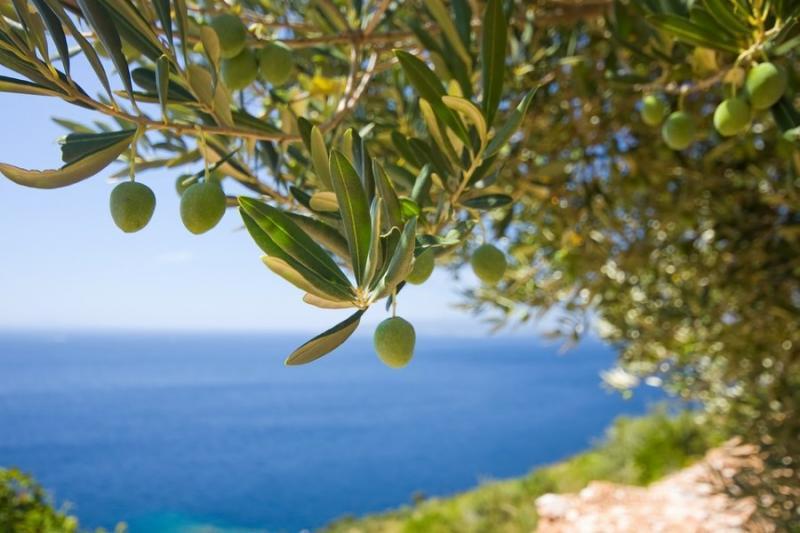 Προβολή της Πελοποννήσου μέσα από συνεργασία Τουριστικού Οργανισμού Πελοποννήσου - εταιρίας &quot;ΑΥΘΕΝΤΙΚΗ&quot;