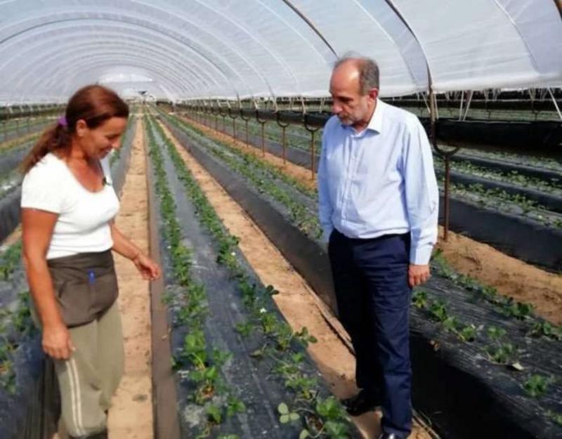 Δυτική Ελλάδα: 1.731 νέοι αγρότες χρηματοδοτούνται με  33.414.500 ευρώ