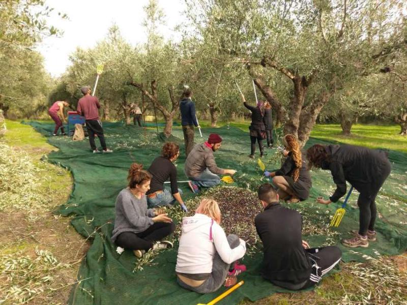 Ολοκληρώθηκε το πρόγραμμα μαθησιακής κινητικότητας νέων «AgroteVs»