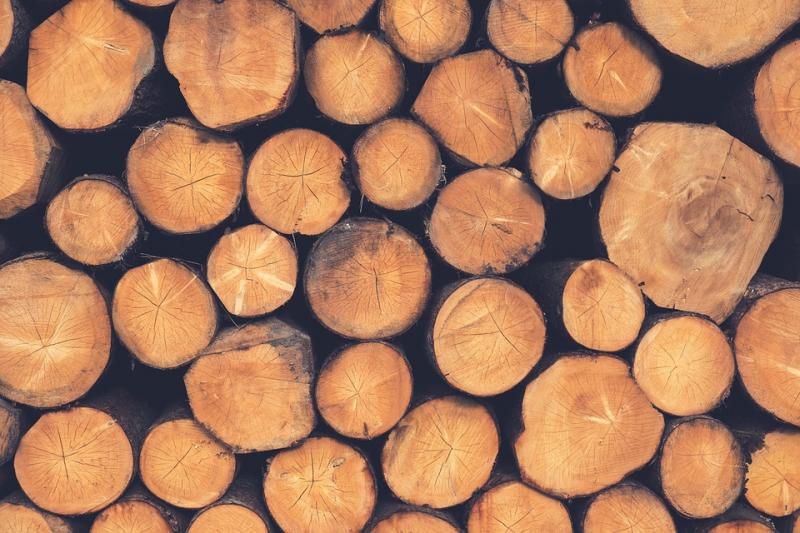 Ποιο είδος ξύλου θα επιλέξουμε για το τζάκι μας;