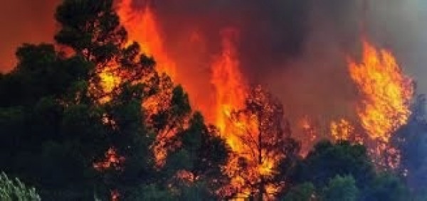 Προληπτική απαγόρευση κυκλοφορίας σε δάση για αποφυγή δασικών πυρκαγιών σε Αχαΐα,Ηλεία και Αιτωλοακαρνανία