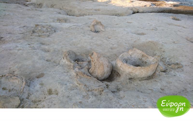 Μοναδικό δημιούργημα της φύσης το απολιθωμένο φοινικόδασος στη Λακωνία (φωτογραφίες)