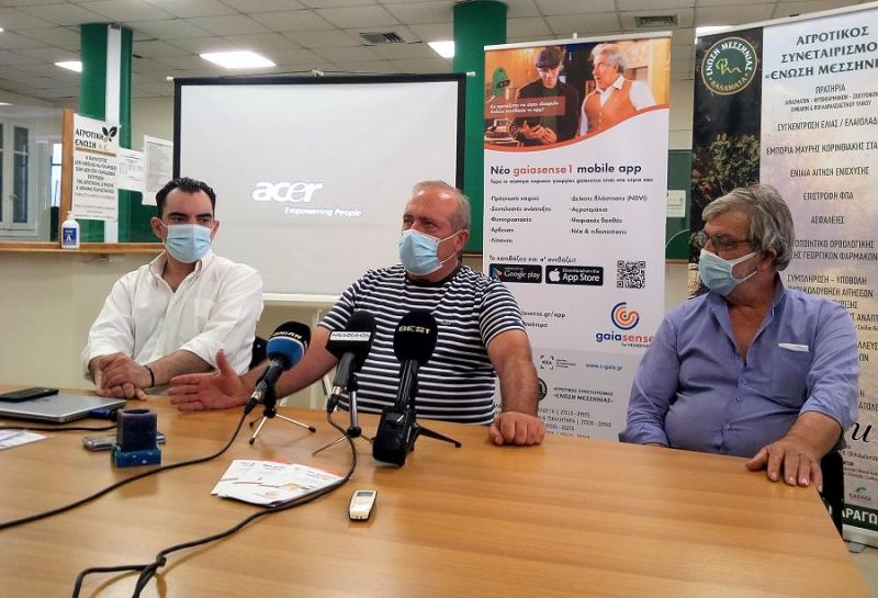 ΕΑΣ για σταφίδα: &quot;Αν το Υπουργείο πει ότι αποσύρει τα περσινά αποθέματα, ανακοινώνουμε τιμή&quot;