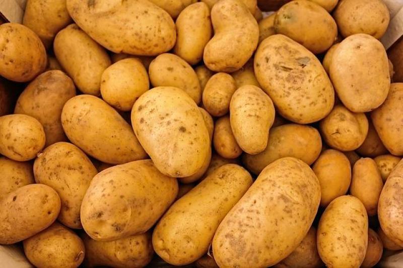 Περ. Πελοποννήσου: Έλεγχοι για την αποφυγή ελληνοποίησης πατάτας