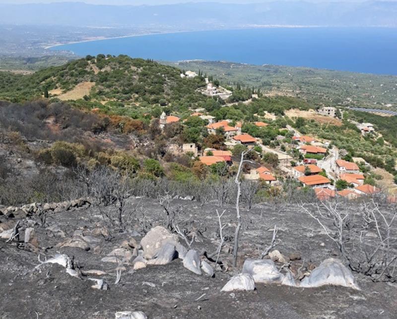 Αυτοψία του ΕΑΓΜΕ στην καμένη έκταση στην περιοχή της Μαθίας του Δήμου Μεσσήνης