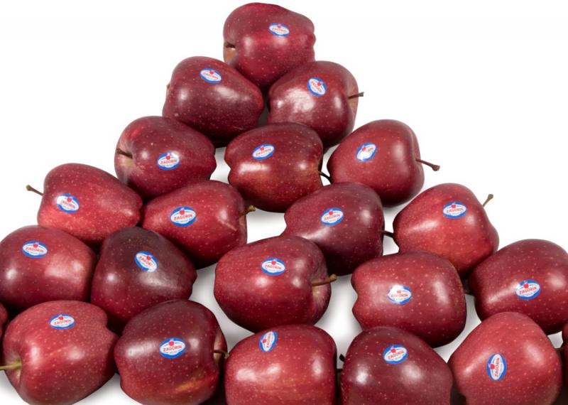 Υψηλότερη διάκριση για τα μήλα ΖΑGORIN στα Μεσογειακά Βραβεία Γεύσης 2021