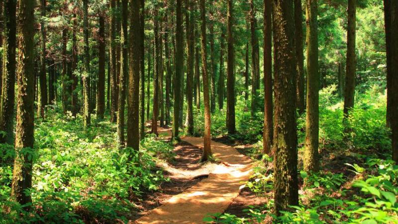 Ελάτε να συνδιαμορφώσουμε το μέλλον του Messinia Trail!