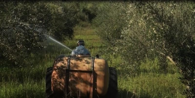 9 προτάσεις της Ένωσης Περιφερειών Ελλάδας (ΕΝΠΕ) για το Πρόγραμμα Δακοκτονίας 2018