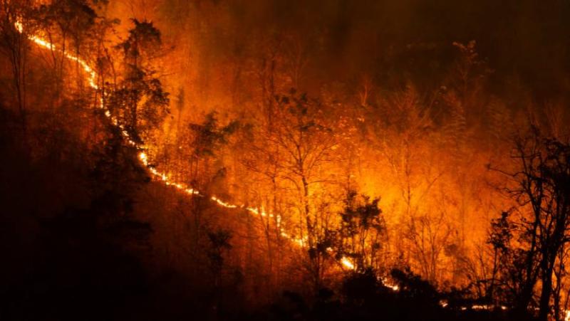 Απαγόρευση κυκλοφορίας στα δάση της Μεσσηνίας την Τρίτη 30 Ιουλίου