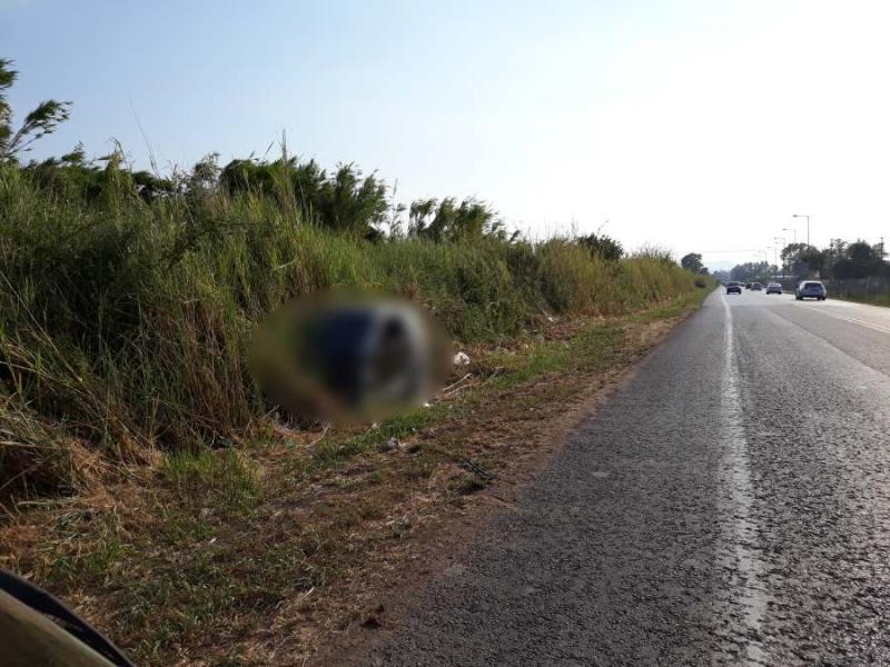 Μεσσήνη: Πυροβολισμοί, ξυλοδαρμός και ένας αστυνομικός στο Νοσοκομείο