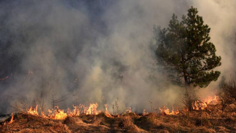 Απαγόρευση κυκλοφορίας στα δάση της Μεσσηνίας την Τρίτη 23 Ιουλίου