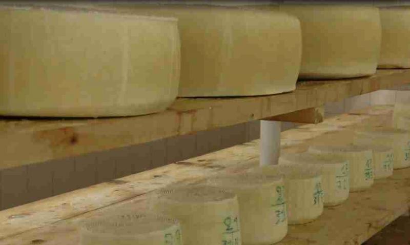 Dairy School of Ioannina: A century at the service of cheese-making