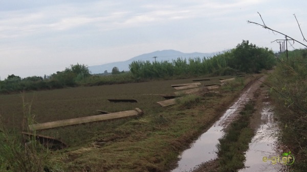 Μεσσήνη: Απαντήσεις για το κατεστραμμένο δίκτυο ζητούν οι αγρότες