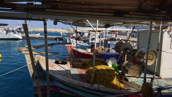 Η βιωσιμότητα της Αλιείας στη Μεσόγειο στην υπουργική διάσκεψη στη Μάλτα