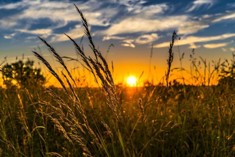 Το μπλοκάρισμα των ακτίνων του Ήλιου δεν θα προστατεύσει τη γεωργία από την κλιματική αλλαγή