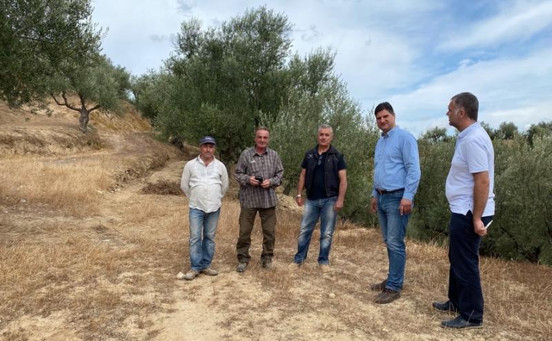 Τα ελαιοπερίβολα που έχουν υποστεί ζημιές επισκέφτηκε ο Δήμαρχος Μεσσήνης