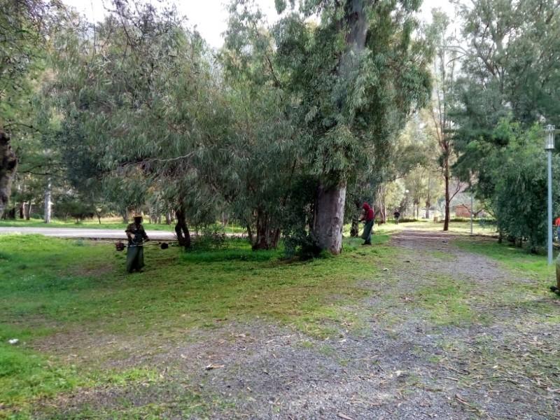 Δήμος Καλαμάτας: Καθαρισμοί αυτοφυούς βλάστησης σε πάρκα, αλσύλλια και κοινόχρηστους χώρους