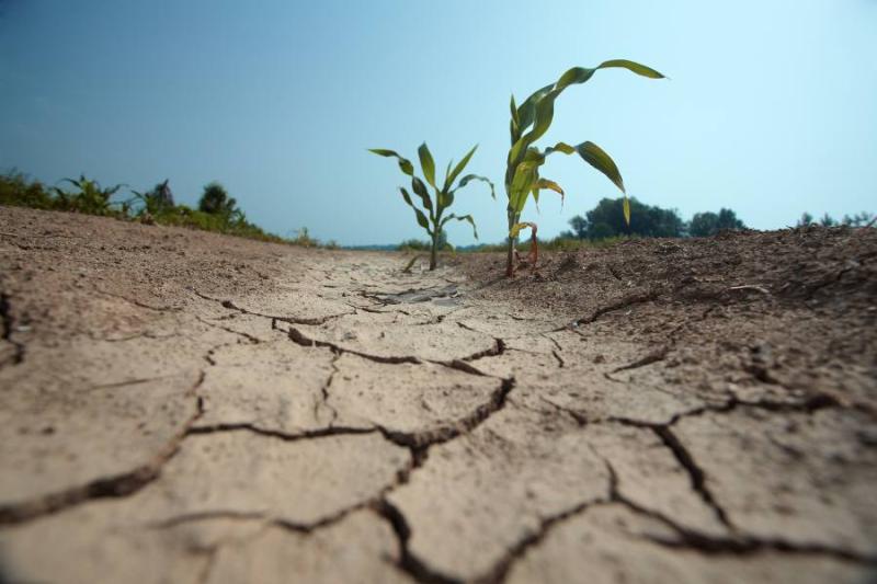 Σύσταση ad hoc oμάδας εργασίας για τον κίνδυνο της ξηρασίας στον αγροτικό τομέα