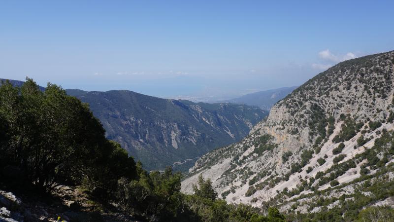 Πεζοπορία στο Λυκούρειο Όρος την Κυριακή 12 Ιανουαρίου