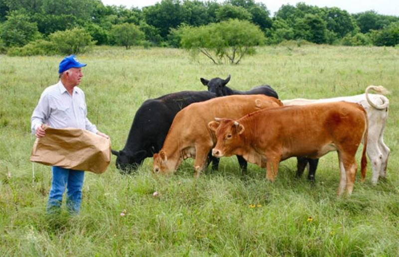 Oλυμπία Τελιγιορίδου: &quot;Θέλουμε τους κτηνοτρόφους να συνεχίσουν το επάγγελμά τους&quot;