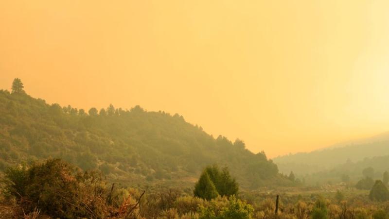 Απαγόρευση της κυκλοφορίας σε δάση και οδηγίες για την αποφυγή πυρκαγιών στην Π.Ε. Μεσσηνίας